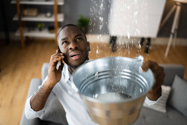 Best Flooded house restoration  in Kirkwood, MO