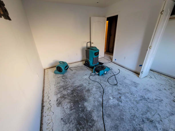 Best Local water damage restoration  in Kirkwood, MO