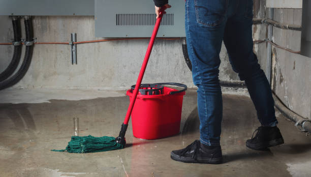 Best Professional water damage repair  in Kirkwood, MO