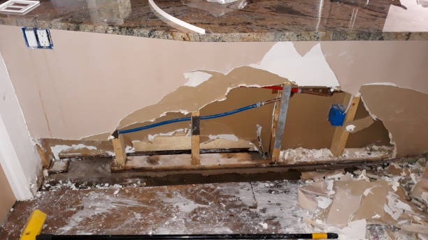 Best Water damage restoration near me  in Kirkwood, MO