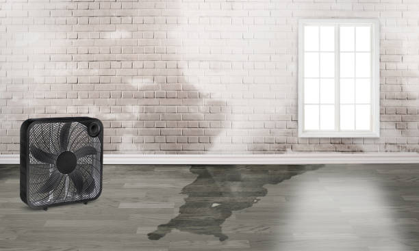 Best Residential water damage restoration  in Kirkwood, MO