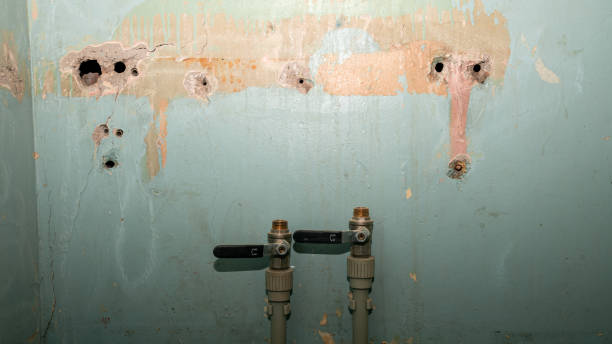 Best Carpet water damage restoration  in Kirkwood, MO