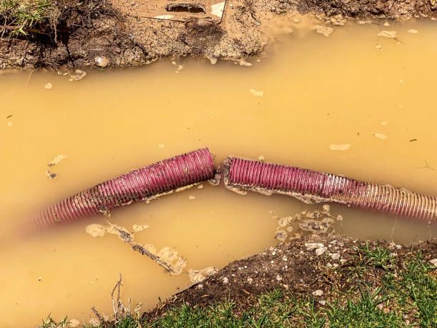 Best Residential water damage restoration  in Kirkwood, MO