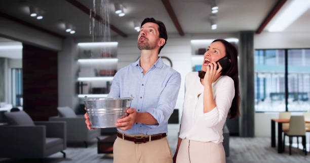 Best Mold removal after water damage  in Kirkwood, MO