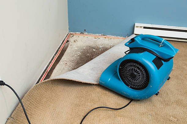 Best Water damage restoration cost  in Kirkwood, MO